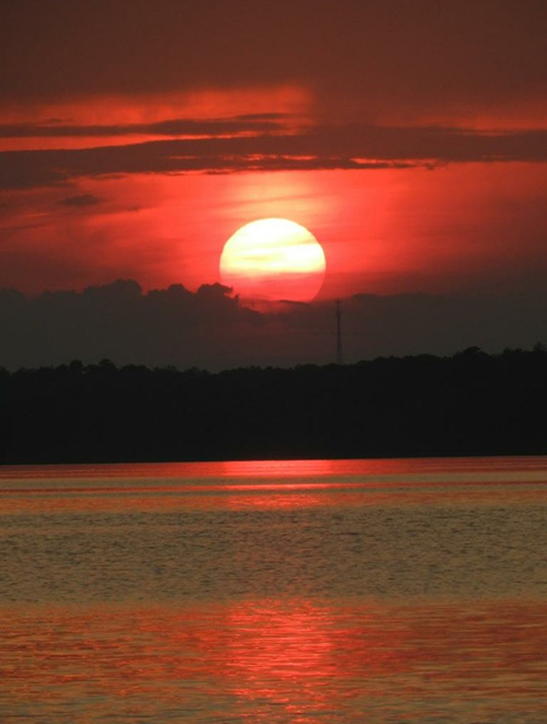 lake martin sunset